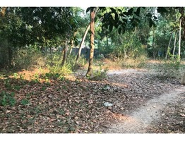 Pristine Residential Corner Plot @ Mararikulam