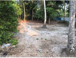 Pristine Residential Corner Plot @ Mararikulam