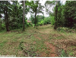 Land for Sale near Kannur International Airport