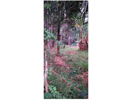 10 cents residential land for sale near ennakkad junction in alapuzhadistrict