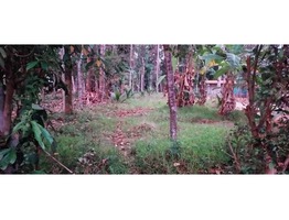 10 cents residential land for sale near ennakkad junction in alapuzhadistrict