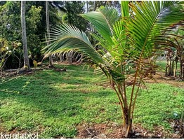 6Cent Plot at Ambalapuzha