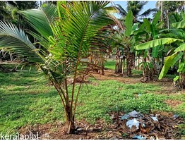 6Cent Plot at Ambalapuzha