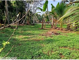 6Cent Plot at Ambalapuzha