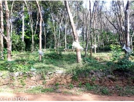 50 Cent Residential Land for Sale in Ponkunnam