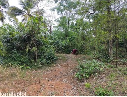 30 cents residential land for sale near cheroor junction in Malapuram district