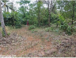 30 cents residential land for sale near cheroor junction in Malapuram district