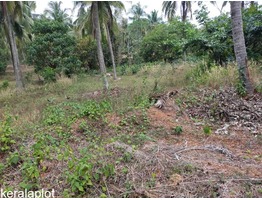 30 cents residential land for sale near cheroor junction in Malapuram district