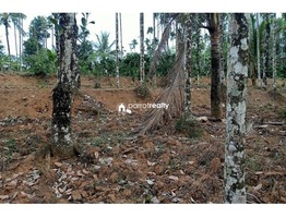 45 cent plot for sale in Vilambukandam @ 65000/cent