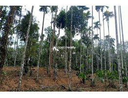 45 cent plot for sale in Vilambukandam @ 65000/cent