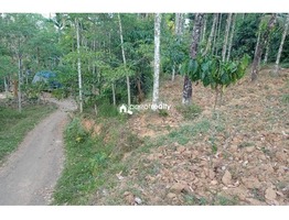 45 cent plot for sale in Vilambukandam @ 65000/cent