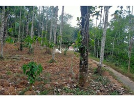 45 cent plot for sale in Vilambukandam @ 65000/cent