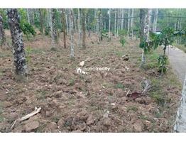 45 cent plot for sale in Vilambukandam @ 65000/cent