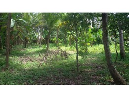 21 Cent Land For Sale- Paravur Kollam 2.75Lakh/Cent