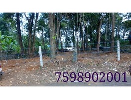 LAND FOR SALE AT KUNNAMKULAM