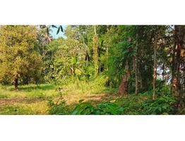 23 CENT NEAR PERIYAR RIVER SIDE : ALUVA-PERUMABVOOR MAIN ROAD