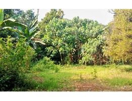 23 CENT NEAR PERIYAR RIVER SIDE : ALUVA-PERUMABVOOR MAIN ROAD