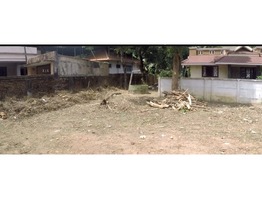 16.73 Cent land (Flood not affected area) at Thazhakara, Mavelikara - 690102.