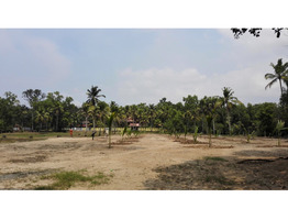 Residential 5-10 cents Plots For Sale in Karuvatta...