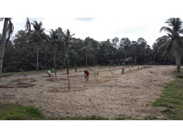 Residential 5-10 cents Plots For Sale in Karuvatta...