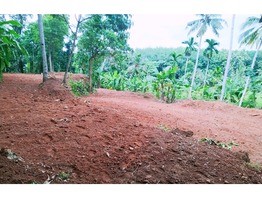 Land for Sale - വസ്തു അത്യാവശ്യമായി വിൽക്കുന്നു