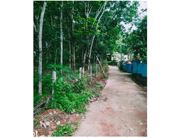 Land for Sale - വസ്തു അത്യാവശ്യമായി വിൽക്കുന്നു