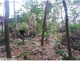 Land Urgent sale for very low price