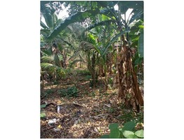 20 cents residential land for sale near  Amalanagar in Thrissur district