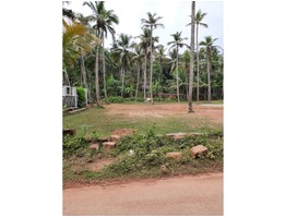 16 Cents Residential Land for sale at Pathiyarakkara - Maniyoor