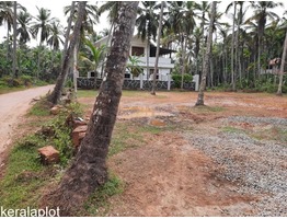 16 Cents Residential Land for sale at Pathiyarakkara - Maniyoor