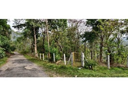 Homestay Land For Sale In Ambalavayal Kuppakolli