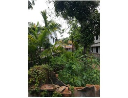 9.1 Cents Rectangle shape Residential plot is for sale in Irinjalakuda