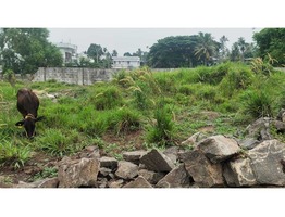 Plot for sale