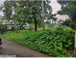 8 cent residential plot for sale in Angamaly town