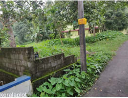 8 cent residential plot for sale in Angamaly town