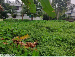 8 cent residential plot for sale in Angamaly town