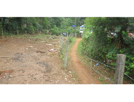 10.5 CENTS OF RESIDENTIAL LAND FOR SALE AT VANIYAMKULAM,PALAKKAD DIST.