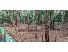 16 cent Residential plot with 1000sqft house sale Near - Plavin chuvad bus stop,chittilappilly