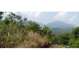 20 cent Hill View Land For Sale In Makkiyad Wayanad