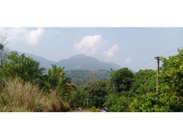 20 cent Hill View Land For Sale In Makkiyad Wayanad