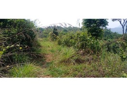 20 cent Hill View Land For Sale In Makkiyad Wayanad