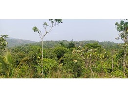 20 cent Hill View Land For Sale In Makkiyad Wayanad