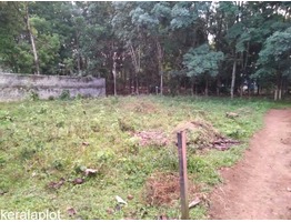 11 CENT HOUSING PLOT FOR SALE IN ANKAMALI