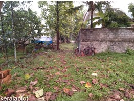 11 CENT HOUSING PLOT FOR SALE IN ANKAMALI