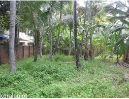 21 cent land in puliyarakonam,peyad backside of govt nss hs chuvalloor school