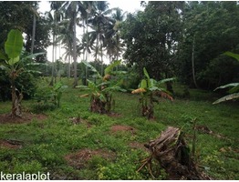 82 cent land for sale at kunnukara town, Ernakulam Kerala