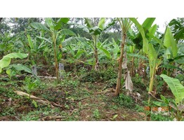 1 Acers and 48 cent Land for sale near Paika Town