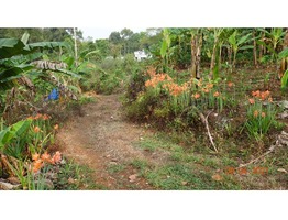 1 Acers and 48 cent Land for sale near Paika Town