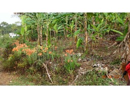 1 Acers and 48 cent Land for sale near Paika Town