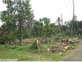 Aloor center 43 cent plot